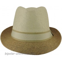 Silver Fever Stripped Panama Fedora Hat for Men or Women 2 Tone Tan at  Women’s Clothing store