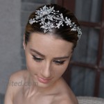 EVER FAITH Wedding Leaf 2 Flower Headband Clear Austrian Crystal Silver-Tone