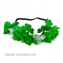 Lux Accessories Green White Saint Patrick Clover Flowers Fashion Elastic Crowns