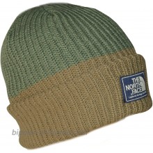 The North Face Colorblock Beanie Hat Green Thyme at  Men’s Clothing store