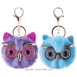 2Pcs Pom Pom Keychain Fluffy Cute Puff Ball Keychain for Women Owl Gift for Girls Bag Purse Car Key Rings Shiny Owl Blue at  Women’s Clothing store
