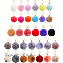 32 Pieces Pom Poms Keychains Faux Fur Pompoms Keyring Fluffy Ball Pompoms Key Chain for Girls Women Hats Shoes Bags Accessories