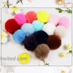 60 Pieces Travel Bottle Keychain Holders Set and Faux Fur Ball Pom Poms Keychains for Handbag Purse Fluffy BallColor3