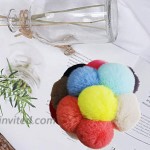60 Pieces Travel Bottle Keychain Holders Set and Faux Fur Ball Pom Poms Keychains for Handbag Purse Fluffy BallColor3
