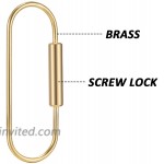 Hotop 5 Pieces Brass Screw Lock Keychain Simple Brass Key Chain Ellipse Shape Key Ring Brass Lock Clip Key Holders for Men Women Gold One Size