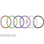 Keychain Wisdompro 12 Pack of 4.3 Inches Stainless Steel Wire Ring 2mm Cable Loop Rings for Hanging Luggage Tag Keys and ID Tag Keepers - MultiColor