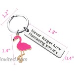 Motivational Flamingo Keychain Never Forget How Flamazing You are Flamingo Gifts for Women，Bff Gifts for Women Round Key Ring Chain Premium Key Organizer Flamingo Lover BFF Animal Lovers Gift for Women Girls Red… at Women’s Clothing store