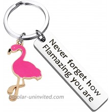 Motivational Flamingo Keychain Never Forget How Flamazing You are Flamingo Gifts for Women，Bff Gifts for Women Round Key Ring Chain Premium Key Organizer Flamingo Lover BFF Animal Lovers Gift for Women Girls Red… at  Women’s Clothing store