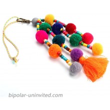 QTMY Colorful Pom Pom Beads Tassel Bag Charm Pendant Keyring Keychain for Women Purse Handbag Decor 1 at  Women’s Clothing store