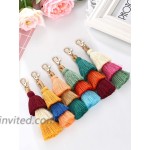 Tatuo 6 Pieces Hand Made Colorful Bohemian Tassel Charm Keychain Handbags Bag Pendant Key Ring Pom Tassels Key Chain（Color Set 1） at Women’s Clothing store