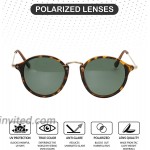 Retro Sunglasses for Men for Women - Vintage Classic Round Sunglases Polarized UV 400 Protection Matte Tortoise Matte Gold Polarized Green Lenses