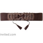 eVogues Plus Size Braided Look Elastic Fashion Belt Brown - One Size Plus at Women’s Clothing store Apparel Belts