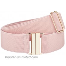 moonsix Dress Belt for Women Wide Elastic Waist Belt Adjustable，Classic Cinch Belt Stretch Waistband，Pink w golden Buckle at  Women’s Clothing store