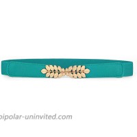 uxcell Women Leaf Shaped Interlocking Buckle 2.5cm Wide Stretch Cinch Belt Teal Green One Size at  Women’s Clothing store Apparel Belts