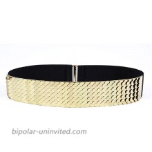 Waist Elastic Metal Belt Leather Metallic Bling Gold Plate Wide for Women gold at  Women’s Clothing store