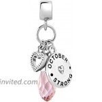 LovelyJewelry October Birthday Heart Love Simulated Birthstone Charms for Bracelets