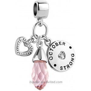 LovelyJewelry October Birthday Heart Love Simulated Birthstone Charms for Bracelets