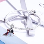 XOYOYZU 925 Sterling Silver High-Heeled Shoes Dangle Charms Clear CZ Charms Fit Snake Chain Bracelet and Necklace Red Shoes
