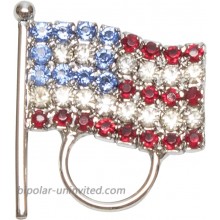 American Flag Eyeglass Holder Pin