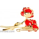 DEFAITH 24K Gold Plated Rose Brooches Pins Romantic Anniversary Birthday Gifts for Her Wife Mother Women - Red