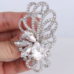 EVER FAITH Silver-Tone Austrian Crystal Bridal Flower Ribbon Teardrop Brooch Pendant Clear