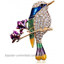 JUMOO Hummingbird Bird Brooch pin for Men and Women
