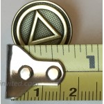 RecoveryChip AA Logo Circle Triangle Lapel Pin Alcoholics Anonymous Sobriety Badge