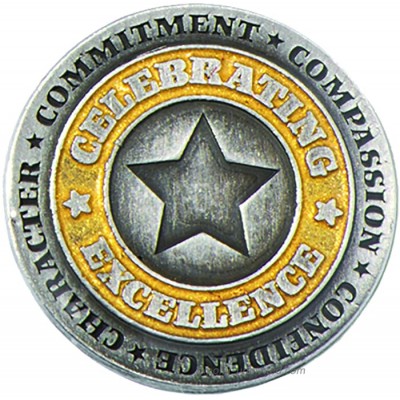TCDesignerProducts Silver & Gold Celebrating Excellence Star Award Lapel Pin 12 Pins