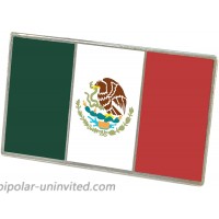 WIZARDPINS Official Mexican Flag Enamel Lapel Pin 1 Pin