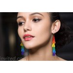 2 Pack of Fashion Tassel Earrings Rainbow Drop Dangle Earrings for Women Girl Pride Parade Accessories LGBTQ Earrings for Women Lesbian