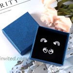 2 Pairs Tiny Stud Earrings for Girls Hypoallergenic S925 Sterling Silver Stud Earrings for Kids Unicorn Love Heart Rainbow Tiny CZ Earrings Set Valentine's Day Jewelry Gifts for Women Friends Sisters