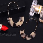 Acrylic Earrings Statement Tortoise Hoop Earrings Resin Wire Drop Dangle Earrings Fashion Jewelry For Women Leopard