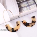 Acrylic Earrings Statement Tortoise Hoop Earrings Resin Wire Drop Dangle Earrings Fashion Jewelry For Women Leopard
