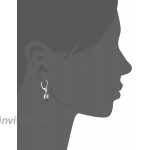 Napier Women's Color Declaration Silver Tone Clear Crystal Glass Leverback Drop Earrings