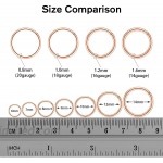PEAKLINK 20G 18G 16G 14G 12G 10G 8G 316L Hinged Segment Seamless Clicker Ring Nose Ring Hoop Septum Helix Tragus Cartilage Daith Piercing Jewelry