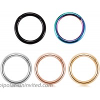PEAKLINK 20G 18G 16G 14G 12G 10G 8G 316L Hinged Segment Seamless Clicker Ring Nose Ring Hoop Septum Helix Tragus Cartilage Daith Piercing Jewelry