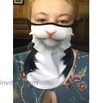 3D Animal Neck Gaiter Cat mask Balaclava Windproof Face Mask Scarf for Motorcycle Cycling Hiking Ski70 at Men’s Clothing store