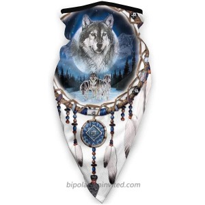 Balaclava Face Mask Native American Dream Catcher Scarf Multifunctional Neck Gaiter Breathable Headwear Bandana for Men and Women Black at  Men’s Clothing store
