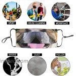 Bulldog Face mask Breathable Protection Contour fit Lightweight Design for Travel or Everyday Use at Men’s Clothing store