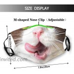Cat Mouth Nose Kitten Cats Lovers Cat Tongue Washable face mask Reusable face mask Bandana with 2 Filters for Men Women at Men’s Clothing store