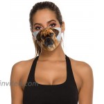 Dark Fawn Puggle Dog Laying Washable Animal Face Mask for Adult with 15 Filters at Men’s Clothing store