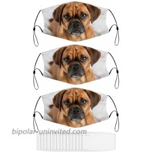 Dark Fawn Puggle Dog Laying Washable Animal Face Mask for Adult with 15 Filters at  Men’s Clothing store
