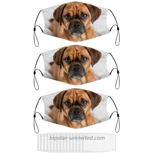 Dark Fawn Puggle Dog Laying Washable Animal Face Mask for Adult with 15 Filters at  Men’s Clothing store