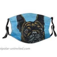 Face Cover French Bulldog Frenchie Pet Dog Art Balaclava Unisex Reusable Windproof Anti-Dust Mouth Bandanas Camping Motorcycle Running Neck Gaiter with 2 Filters for Teen Men Women at  Women’s Clothing store
