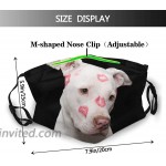 Face Mask Balaclava Pit-Bull Mask Bandanas With 2 Filters Reusable Adjustable For Men & Women at Men’s Clothing store