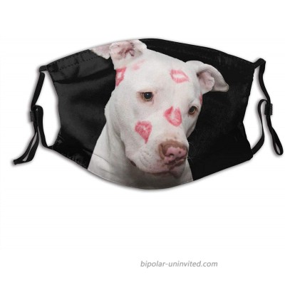 Face Mask Balaclava Pit-Bull Mask Bandanas With 2 Filters Reusable Adjustable For Men & Women at  Men’s Clothing store