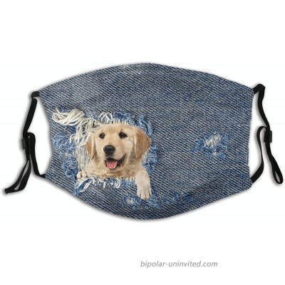Golden Retriever in Denim Animal Cloth Face Mask Washable Adjustable Bandanas Balaclava Dust-Proof Print Reusable Fabric Mask With 2 Pcs Filters for Women Men at  Men’s Clothing store
