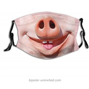 Pig Funny Face Mask Washable Adjustable Balaclava Reusable Fashion Scarves For Unisex With 2 Pcs Filters at  Men’s Clothing store