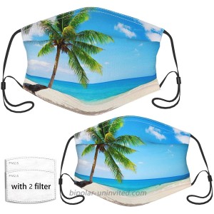 Summer Beach Sunset View Palm Trees Face Mask with 2 Pcs Filters Reusable and Washable Adjustable Elastic Earrings Soft and Breathable Kids Face Mask Balaclava for Older Children and Adults at  Men’s Clothing store