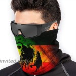 Unisex Half Face Mask for Cycling Motorcycle Hiking Multifunctional Magic Scarf Reggae Rasta Flag Lion Junior's Black